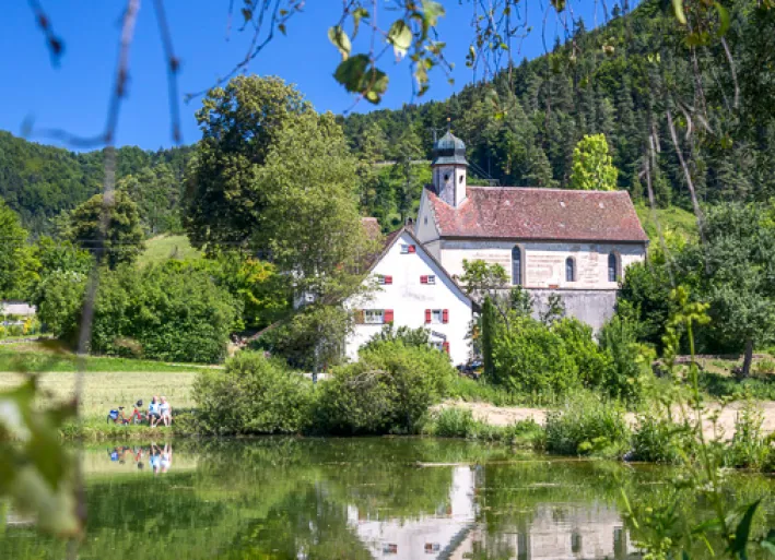 Die Donau bei Mühlheim