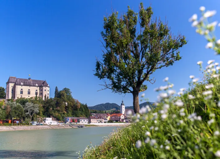 Die Greinburg in Grein